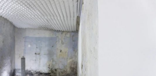 Cui Li, Cao Zhihao, Doppio Negativo – La Siringe