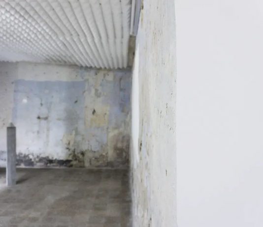 Cui Li, Cao Zhihao, Doppio Negativo – La Siringe