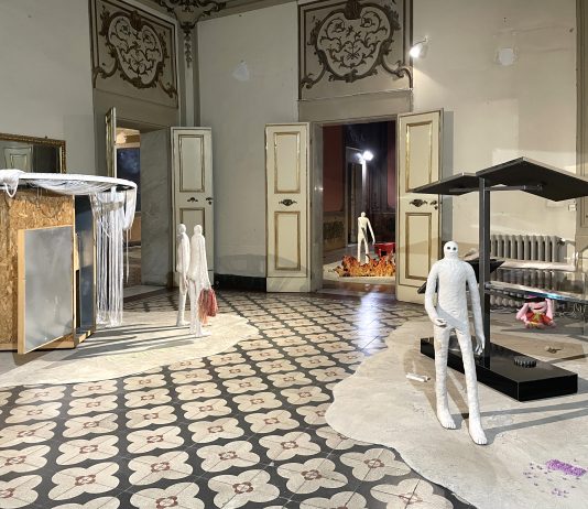‘Fuori Terra’: Mattia Pajè per Alchemilla a Palazzo Vizzani, Bologna