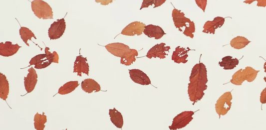 Cortesi Gallery presenta il suo martketplace di cryptoarte ad ArteFiera