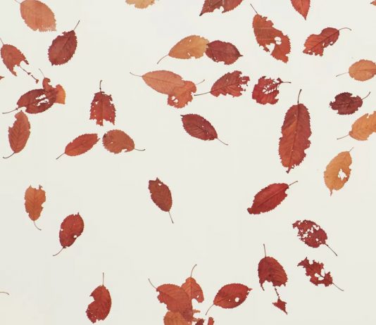 Cortesi Gallery presenta il suo martketplace di cryptoarte ad ArteFiera