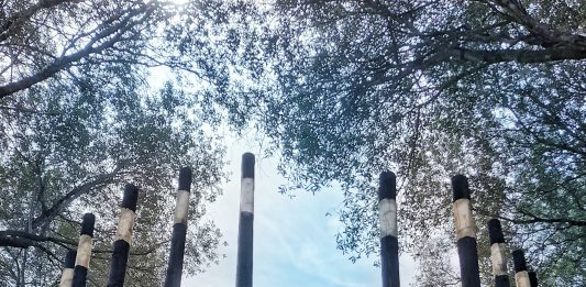 Templum per Aquam: la Land Art di Marco Nones sulla collina di Ansedonia