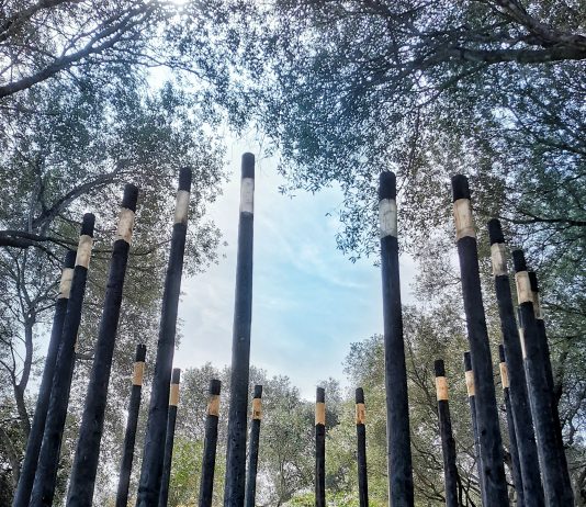 Templum per Aquam: la Land Art di Marco Nones sulla collina di Ansedonia