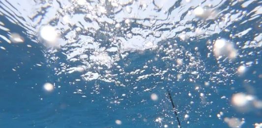 Onde sonore, musica da mare. Un viaggio tra Cagliari e La Maddalena