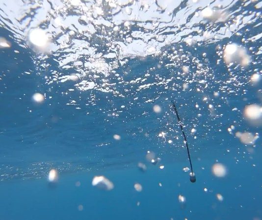Onde sonore, musica da mare. Un viaggio tra Cagliari e La Maddalena
