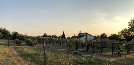 Poggio Tempesta, l’arte contemporanea arriva tra le colline della Toscana