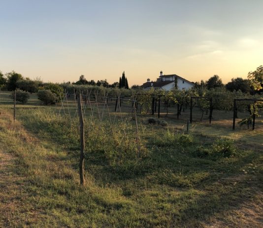 Poggio Tempesta, l’arte contemporanea arriva tra le colline della Toscana