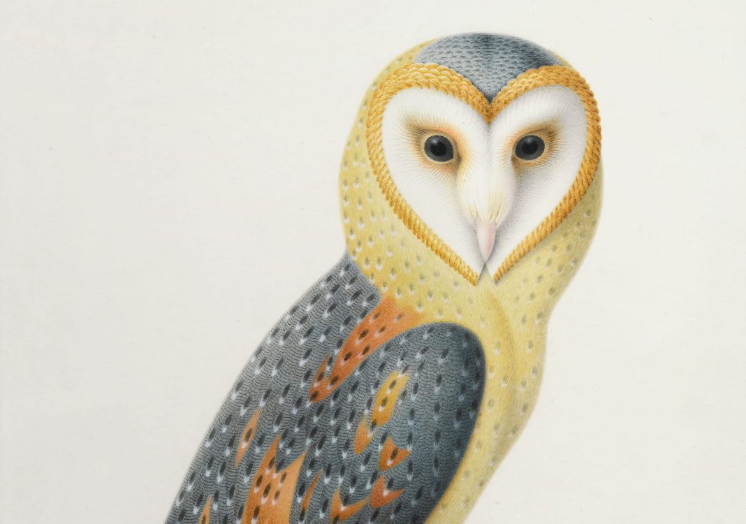 slider-affiche-2022 PARIGI