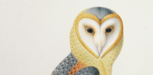 Parigi, tutti gli appuntamenti del weekend PARIGI