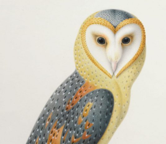 Parigi, tutti gli appuntamenti del weekend PARIGI