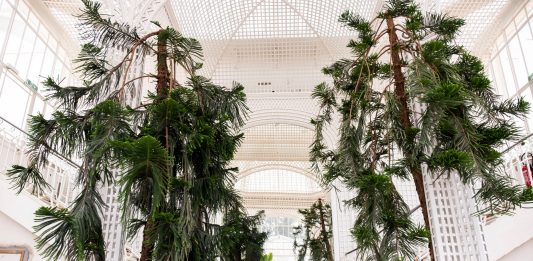 Il progetto pacifista di Albert Kahn