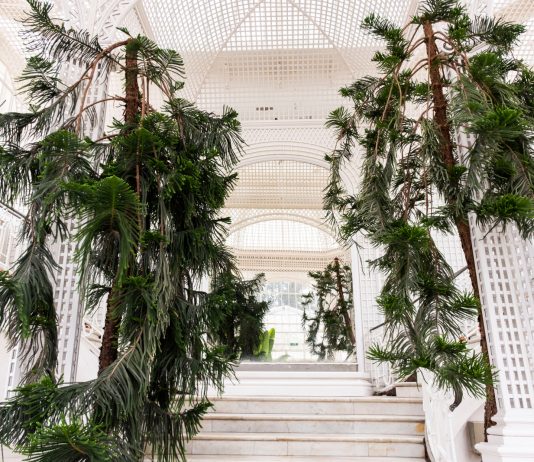 Il progetto pacifista di Albert Kahn