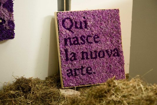 Numero Cromatico, un ponte tra arte e scienza, sul flusso della neuroestetica