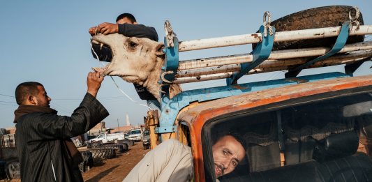 exibart street contest: Steve McCurry premia Jonathan Jasberg e Bouwe Brouwer