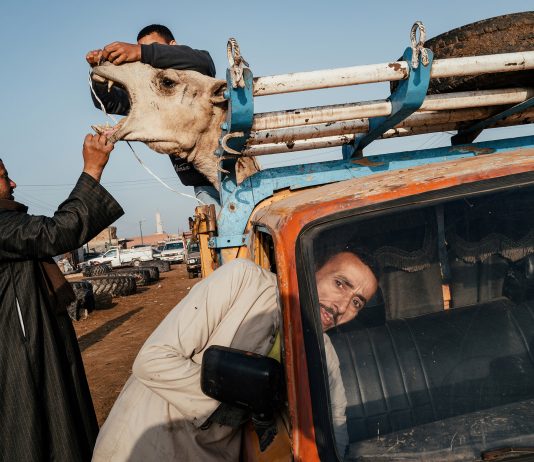 exibart street contest: Steve McCurry premia Jonathan Jasberg e Bouwe Brouwer