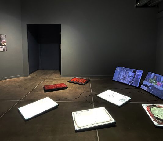 Il rischio che unisce le comunità: Elena Mazzi al PAV di Torino