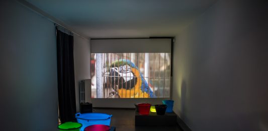 Guendalina Salini, Pachamama Concrete – AlbumArte