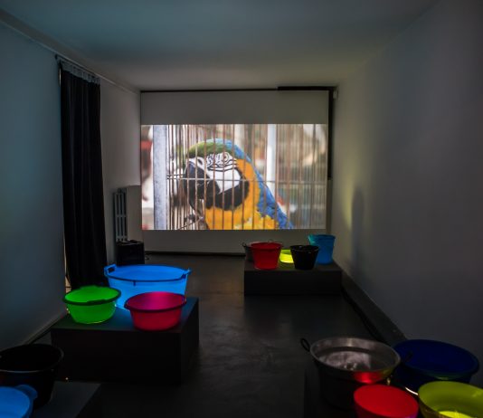 Guendalina Salini, Pachamama Concrete – AlbumArte