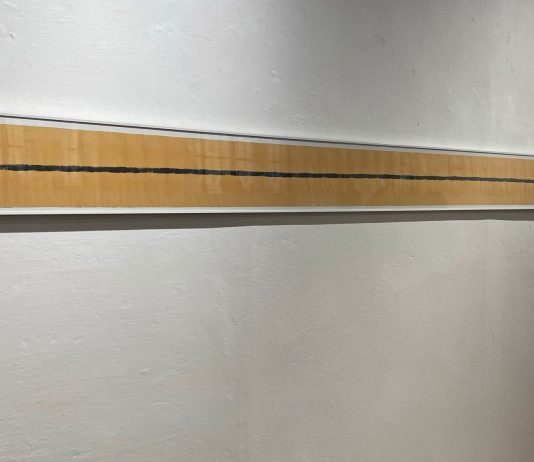 Le Linee di Piero Manzoni e la Linea di Osvaldo Cavandoli – Galleria Clivio