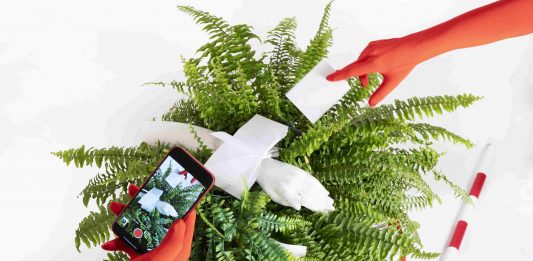 ICON – CORSO CURATORI, il corso di specializzazione annuale di FMAV Scuola di alta formazione