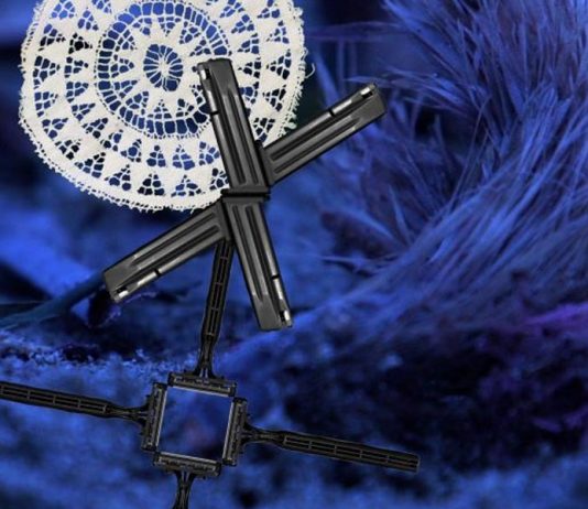 Il vincitore di exibart prize 2021 è Luca Staccioli