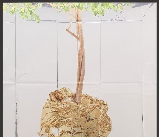 Il cinismo dell’emergenza quotidiana, in 10 fotografie di Mariapia Borgnini