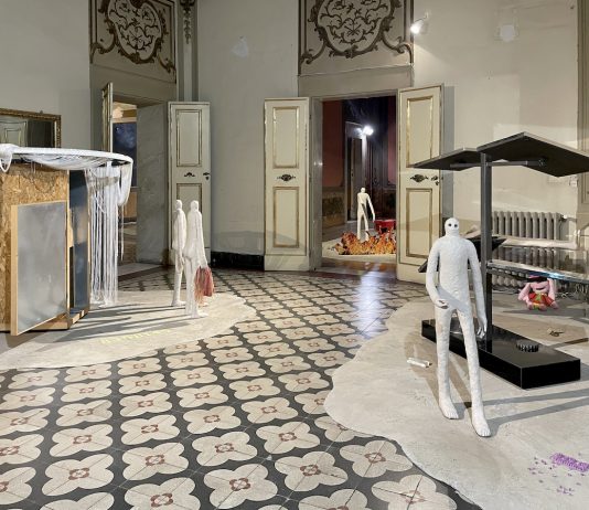 Mattia Pajè, Fuori Terra – Alchemilla Palazzo Vizzani