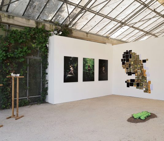 NABA presenta ‘(Im)possibile Ecologies’, all’Orto Botanico di Roma