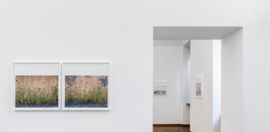 Paola De Pietri, Da inverno a inverno – Galleria Peola Simondi