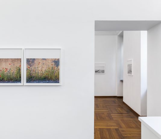 Paola De Pietri, Da inverno a inverno – Galleria Peola Simondi