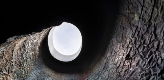 Francesca Leone Take your time