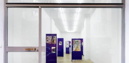 Percorsi tortuosi della visione, verso le stelle: Andrea Bolognino da Acappella