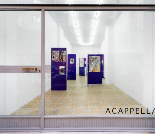 Percorsi tortuosi della visione, verso le stelle: Andrea Bolognino da Acappella