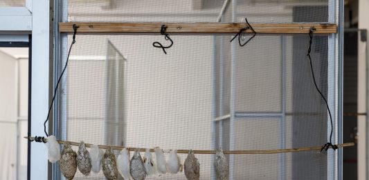 Giorgio Andreotta Calò, IΚΑΡΟΣ (Icarus) – ZERO…