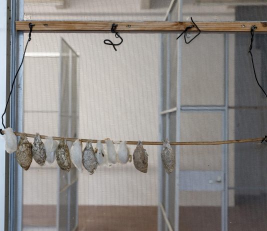 Giorgio Andreotta Calò, IΚΑΡΟΣ (Icarus) – ZERO…