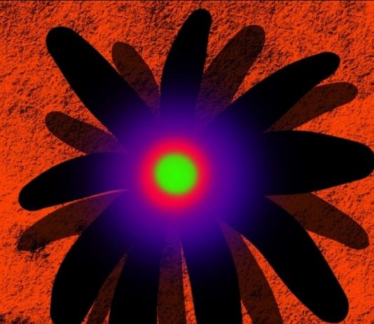 TerraMareStelle: arte digitale di Carlo Gasperoni alla Galleria Papini