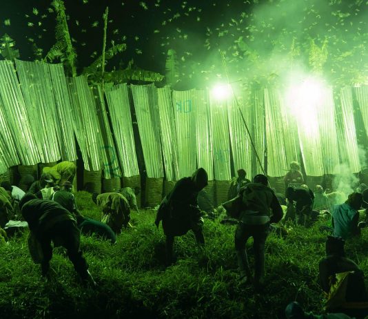 Meraviglie della fotografia, dal paesaggio alla ricerca, al Festival F4