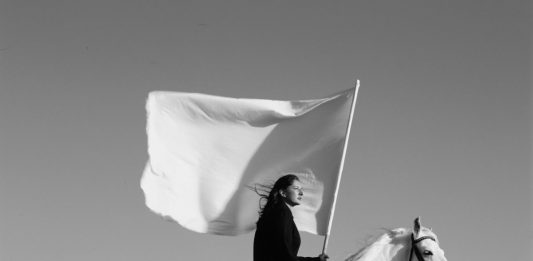 Marina Abramovic lancia la sua prima opera NFT, a partire da Hero marina abramovic the hero