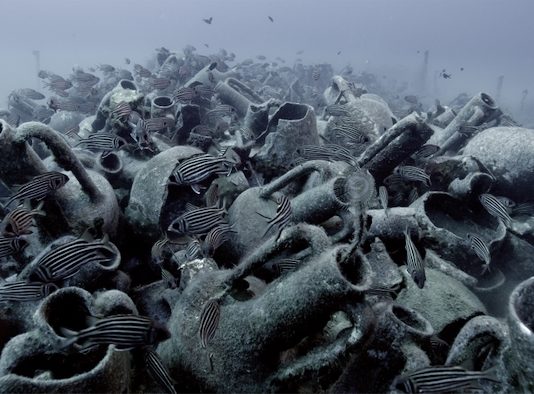 Lo Schermo dell’Arte 2022: tutte le novità e i focus del festival