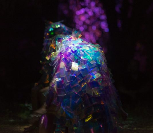 Luci nella notte che arriva: Latifa Laâbissi e Marcelo Evelin per Xing