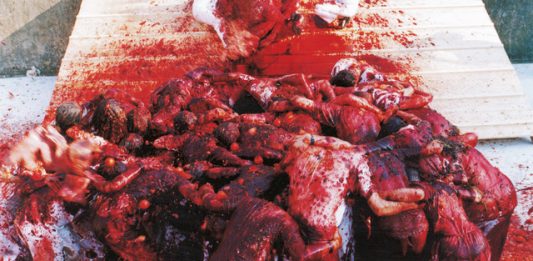 Il sogno di Hermann Nitsch: la monumentale 160.aktion, al castello di Prinzendorf