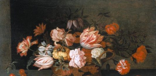 Dalla parte del drago #33: La collezione di farfalle