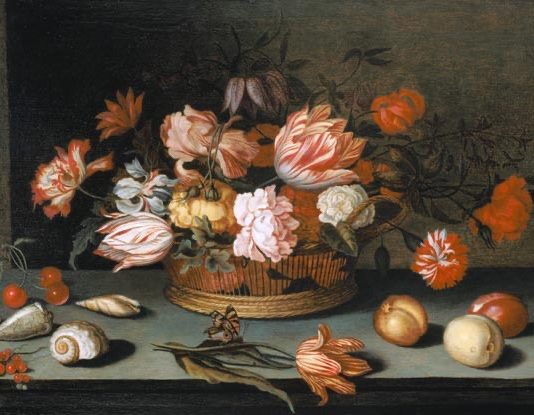 Dalla parte del drago #33: La collezione di farfalle