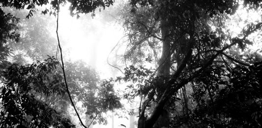 Nel mondo sottosopra di Sergio Vega, alla Galleria Di Marino di Napoli