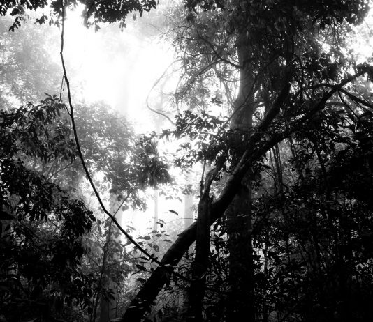 Nel mondo sottosopra di Sergio Vega, alla Galleria Di Marino di Napoli