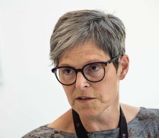 La direttrice di documenta si dimette, per le accuse di antisemitismo direttrice documenta