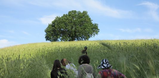 Il giardino libernautico – Fondazione Baruchello