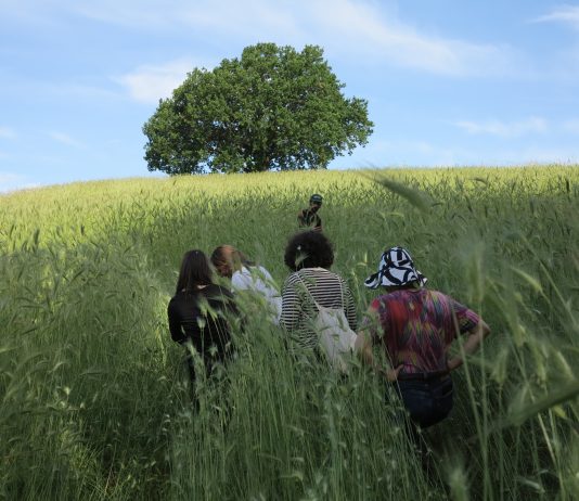 Il giardino libernautico – Fondazione Baruchello