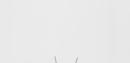 I.D.E.A. Salento e Masseria Canali presentano Alice Ronchi. Sole