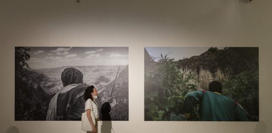 Prospettiva Madre: le sfide del museo, per la Presidente Angela Tecce